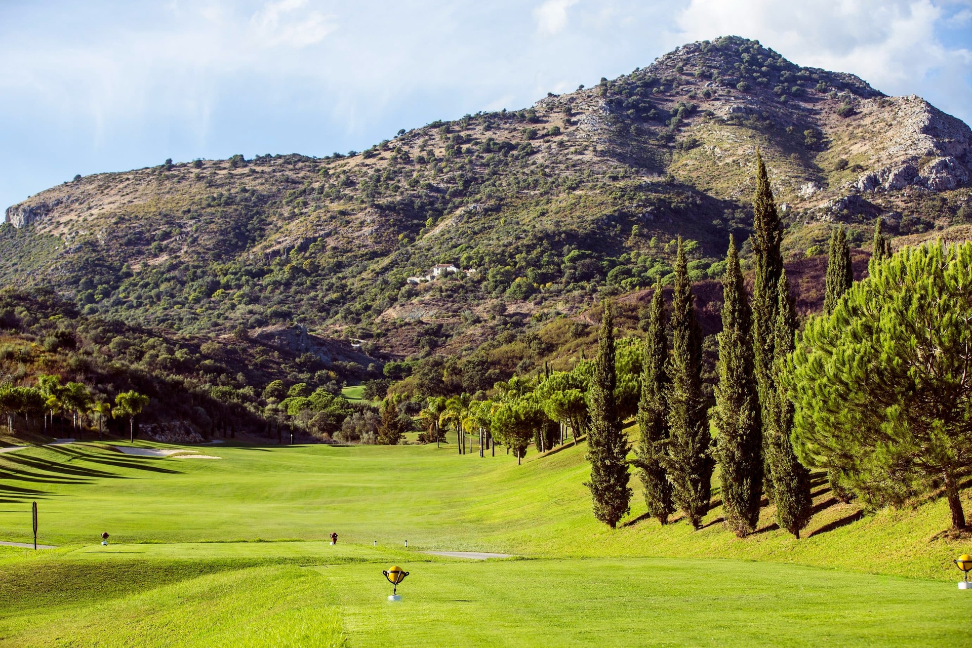 Alferini | Villa Padierna Golf Club